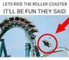 F9C6137B-7246-4C95-9495-84AEFDCE1BDF.jpeg