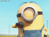 minion - thumbsup (1).gif