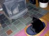 Ishtar Wood Stove.JPG