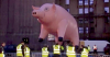Pink-Floyd-pig.png