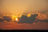 img_69080216OkC.jpg