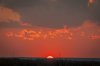 img_69080221GvS.jpg