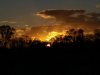 IMG_20201110_164619969.jpg