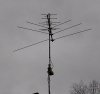 antenna1.jpg
