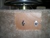 DSCN8499.jpg