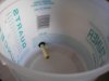 DIY RCM (2) 027.jpg
