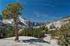DSC_2415.jpg