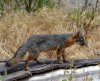 DSC_0119.JPG
