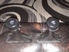 20210620_082603.jpg