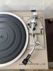 pioneer-2.jpeg