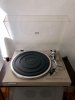 pioneer-4.jpeg