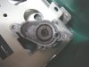 suckface planet gears (Medium).jpg