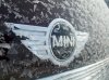 Mini Logo Ice_weblg.jpg
