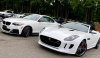 bmw and jag.jpg
