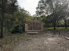 PXL_20211020_145412284.jpg
