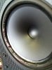 celestion_sl-12_02.jpg