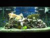 Fish 003.jpg