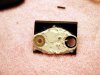 L_Amp_Detail-7.JPG