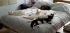 20200717_122639.jpg