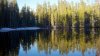 Pond on Hwy 120.jpg