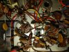 IMG_20220127_170252705.jpg