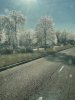 IMG_6585.jpeg