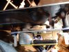 DSCN3750.JPG