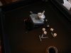 DSCN0138.jpg