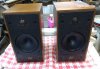 CELESTION SL6.jpg