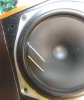 CELESTION SL6 EDGE sm.jpg