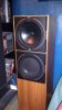 IMAG0169.jpg
