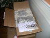 DSCN3670.jpg