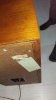 received_368391428385537.jpeg