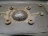 DSC06849.jpg