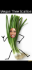 Screenshot_20220513-095333.png