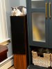 phoebe-on-speaker.jpg phoebe-on-speaker.jpg