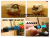 2285b re-cap2.jpg