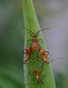DSC_7072.JPG