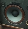 2018-05-17 Rectilinear May 17, 8 56 18 PM woofer.jpg