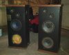 syns52bpair.jpg