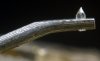 Shibata curved contact line on a Victor X-1 stylus a.jpg