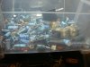 DSC06101.JPG