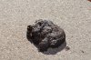 DSC_0084.JPG