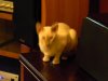 DSCN0047.jpg