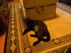 DSCN0050.jpg