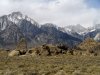 AlabamaHIlls_Mt.Whitney.jpg