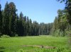 Crescent-Meadow.jpg