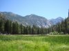 Zumwalt-Meadow-1.jpg