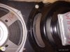 IMG_20220811_160125792.jpg
