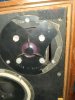 IMG_20220725_130528.jpg
